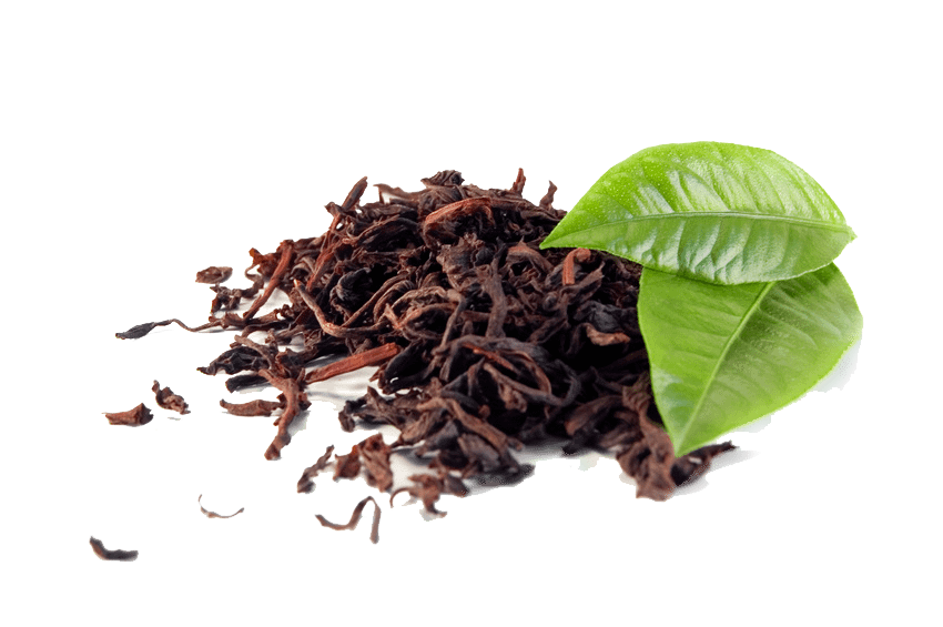 Shop Garden Fresh Assam Tea 1 Shop Garden Fresh Assam Tea 1