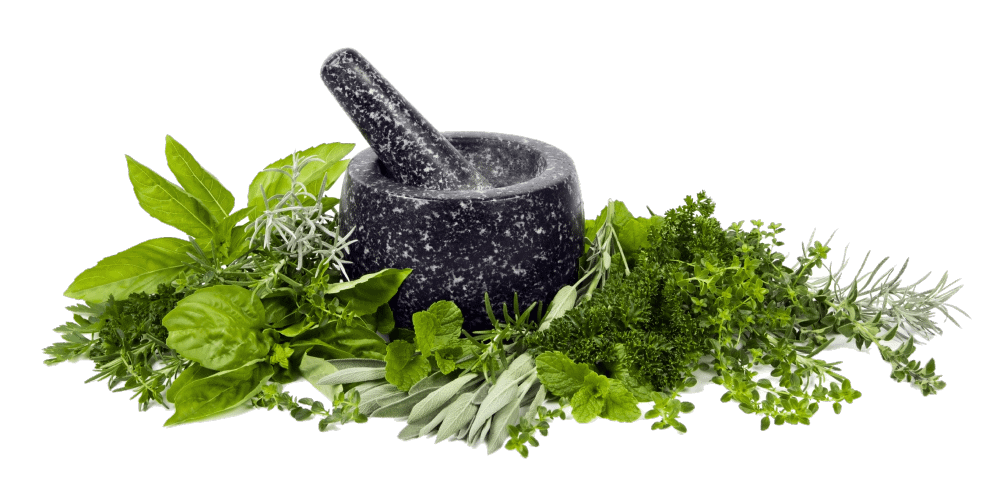 Shop Garden Fresh Assam Tea 13 Herbal Tea