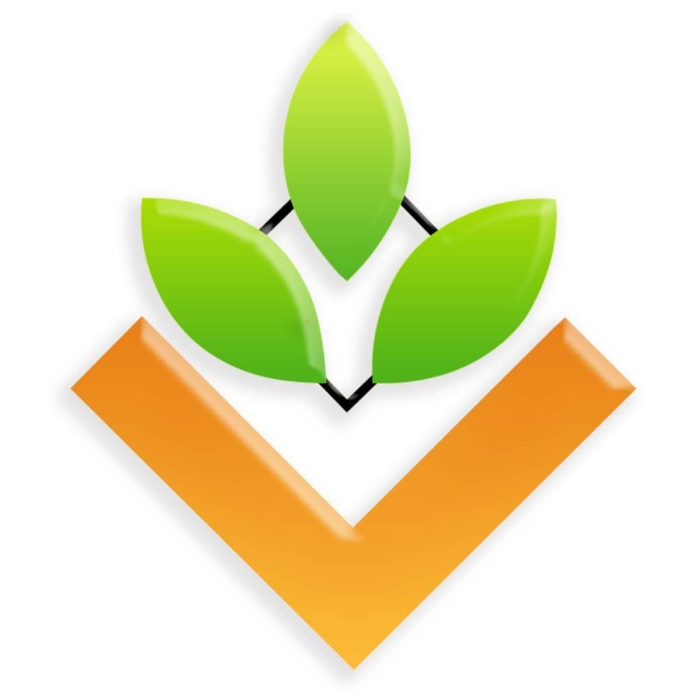 About Us 13 Vishnu Tea Company Logo
